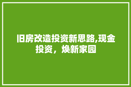 旧房改造投资新思路,现金投资，焕新家园 汽车维修