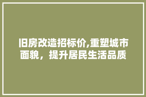 旧房改造招标价,重塑城市面貌，提升居民生活品质 综合便民