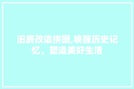 旧房改造拼图,唤醒历史记忆，塑造美好生活 厨房维修