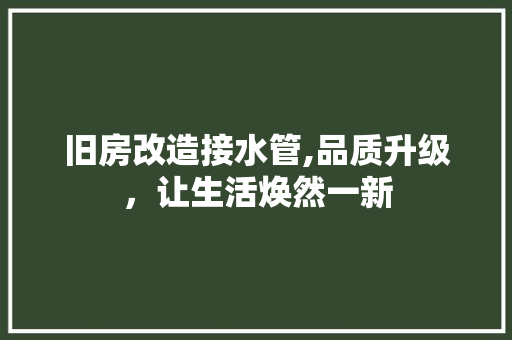 旧房改造接水管,品质升级，让生活焕然一新 综合便民