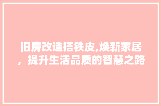 旧房改造搭铁皮,焕新家居，提升生活品质的智慧之路 综合便民