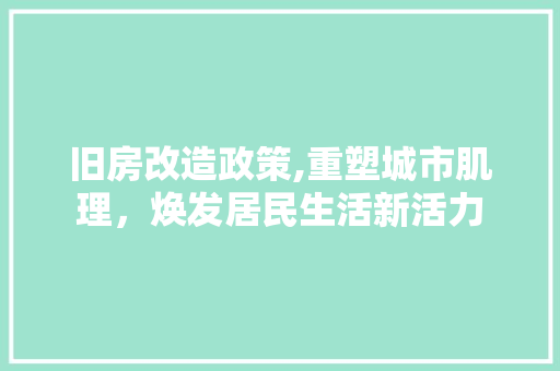 旧房改造政策,重塑城市肌理，焕发居民生活新活力 墙体维修