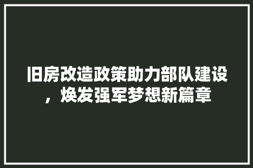 旧房改造政策助力部队建设，焕发强军梦想新篇章 综合便民