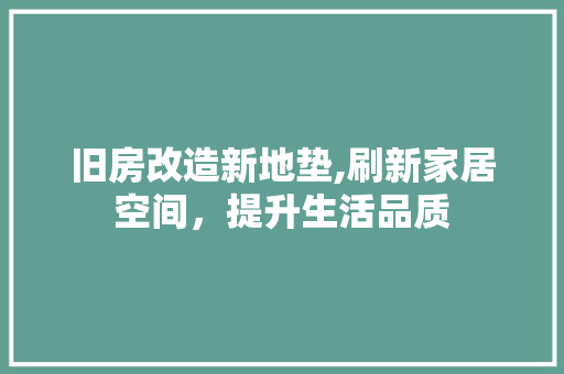 旧房改造新地垫,刷新家居空间，提升生活品质 汽车维修