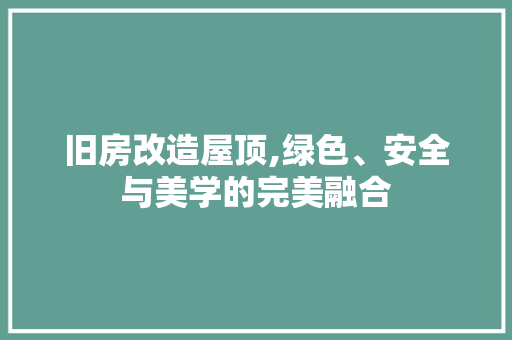 旧房改造屋顶,绿色、安全与美学的完美融合 家电维修