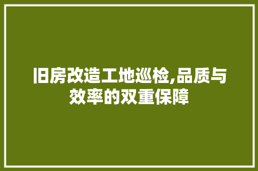 旧房改造工地巡检,品质与效率的双重保障 综合便民