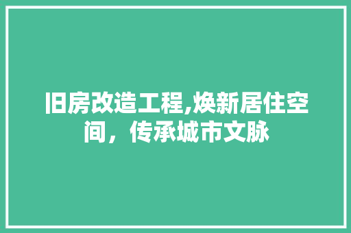 旧房改造工程,焕新居住空间，传承城市文脉 厨房维修