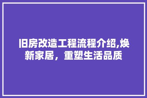 旧房改造工程流程介绍,焕新家居，重塑生活品质 厨房维修