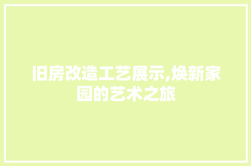 旧房改造工艺展示,焕新家园的艺术之旅 厨房维修