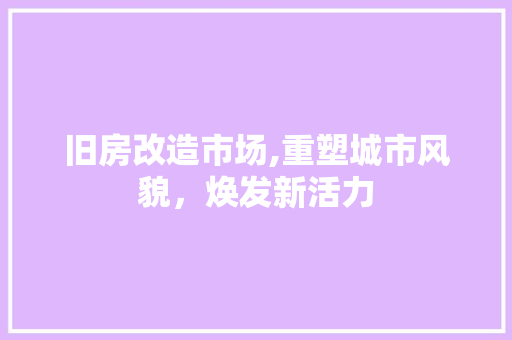 旧房改造市场,重塑城市风貌，焕发新活力 综合便民