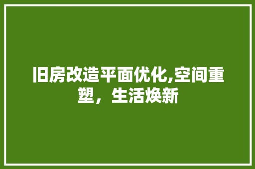 旧房改造平面优化,空间重塑，生活焕新 厨房维修