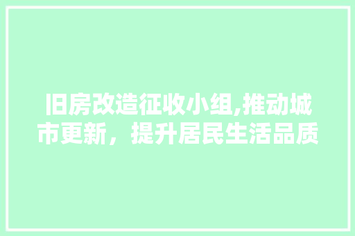 旧房改造征收小组,推动城市更新，提升居民生活品质 家电维修
