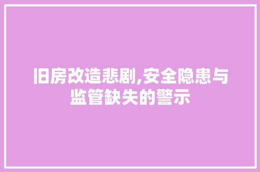 旧房改造悲剧,安全隐患与监管缺失的警示