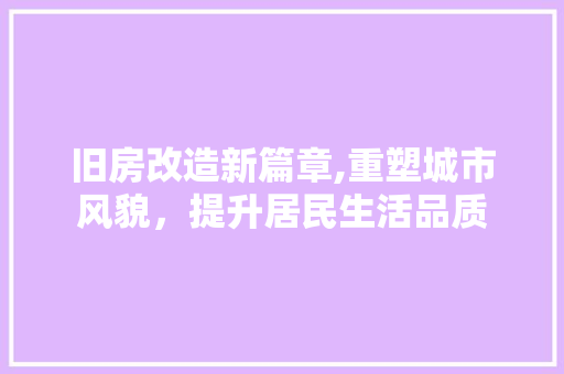 旧房改造新篇章,重塑城市风貌，提升居民生活品质 综合便民