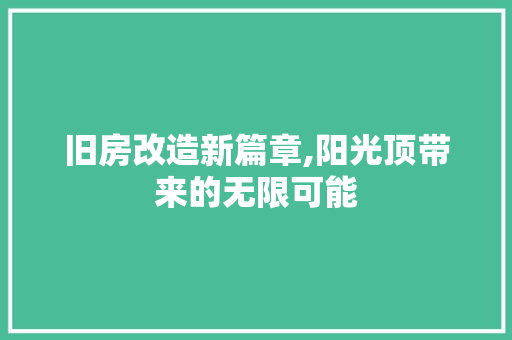 旧房改造新篇章,阳光顶带来的无限可能 墙体维修