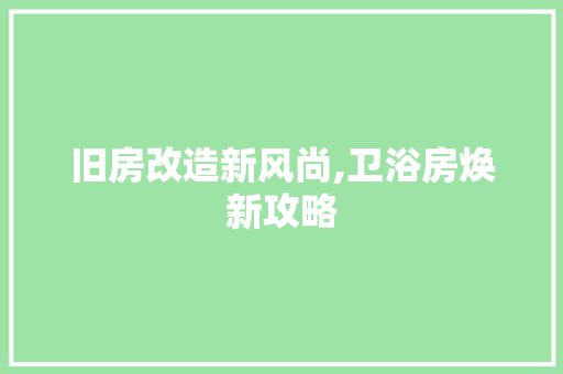 旧房改造新风尚,卫浴房焕新攻略 墙体维修