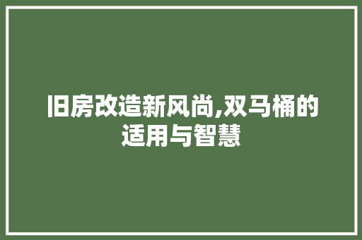旧房改造新风尚,双马桶的适用与智慧 家电维修