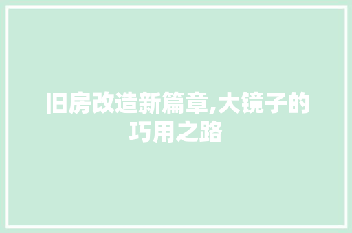 旧房改造新篇章,大镜子的巧用之路 厨房维修