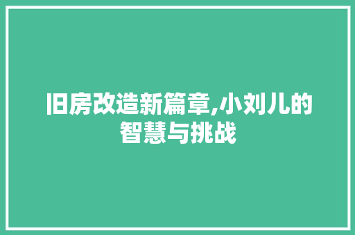 旧房改造新篇章,小刘儿的智慧与挑战 综合便民
