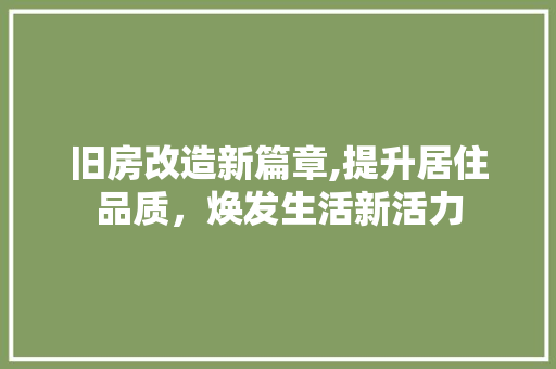 旧房改造新篇章,提升居住品质，焕发生活新活力 综合便民