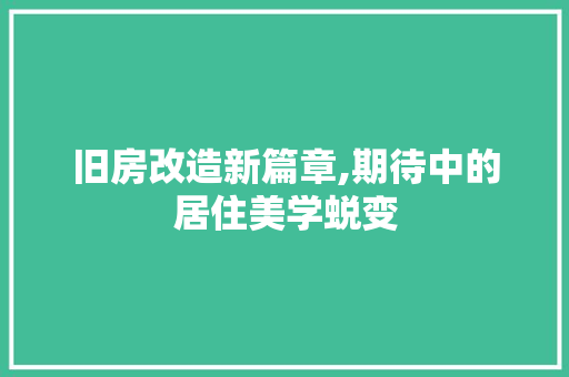 旧房改造新篇章,期待中的居住美学蜕变 家电维修