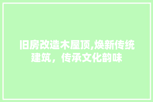 旧房改造木屋顶,焕新传统建筑，传承文化韵味 厨房维修