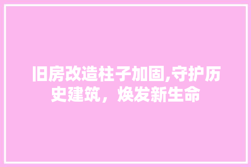 旧房改造柱子加固,守护历史建筑，焕发新生命 墙体维修