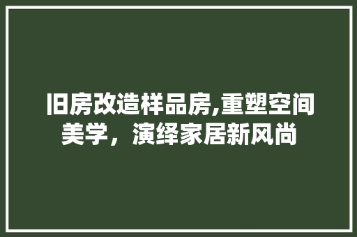 旧房改造样品房,重塑空间美学，演绎家居新风尚 家电维修