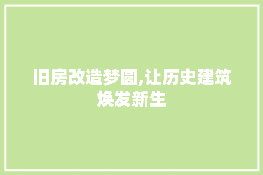 旧房改造梦圆,让历史建筑焕发新生 厨房维修