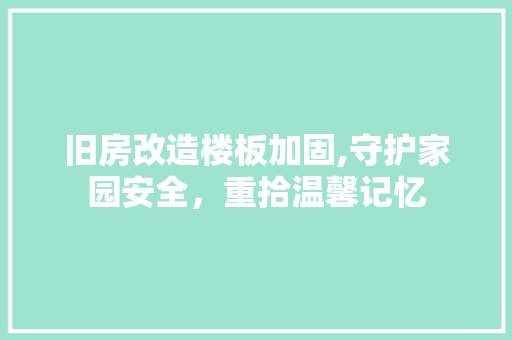 旧房改造楼板加固,守护家园安全，重拾温馨记忆 厨房维修