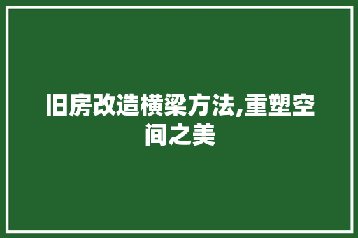旧房改造横梁方法,重塑空间之美 墙体维修