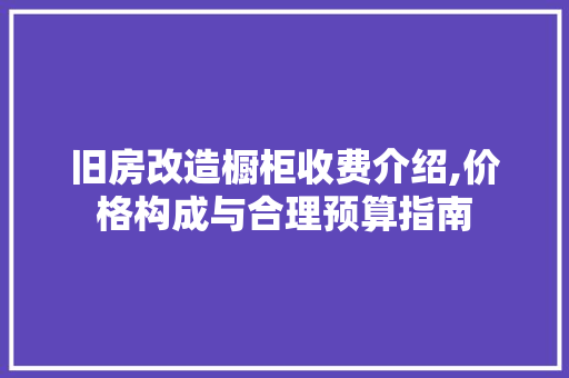 旧房改造橱柜收费介绍,价格构成与合理预算指南 厨房维修
