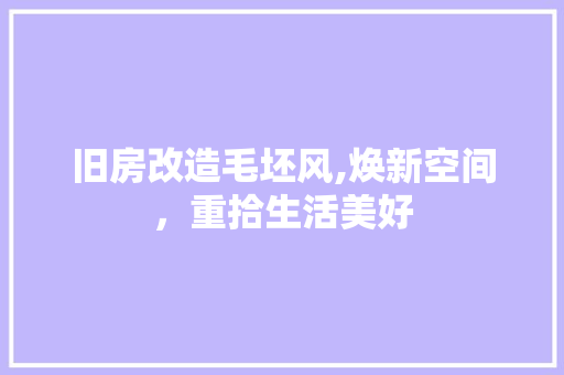 旧房改造毛坯风,焕新空间，重拾生活美好 综合便民