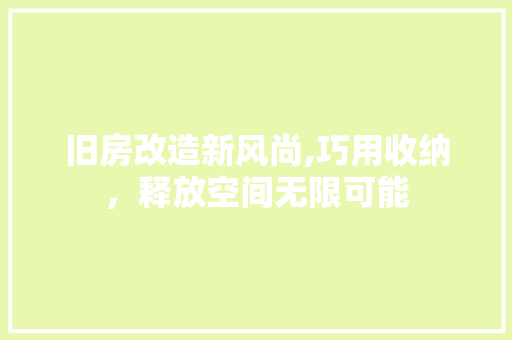旧房改造新风尚,巧用收纳，释放空间无限可能 厨房维修