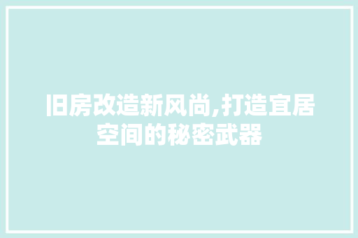 旧房改造新风尚,打造宜居空间的秘密武器 厨房维修