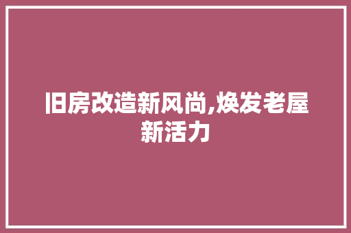 旧房改造新风尚,焕发老屋新活力