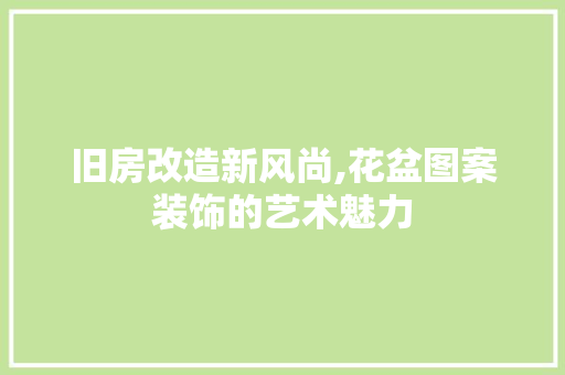 旧房改造新风尚,花盆图案装饰的艺术魅力 综合便民