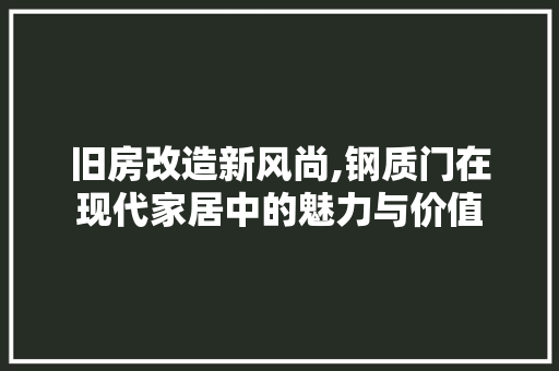 旧房改造新风尚,钢质门在现代家居中的魅力与价值 综合便民