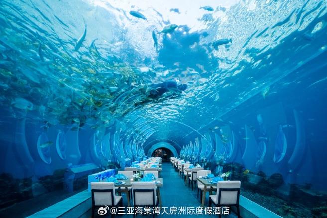 海底餐厅,梦幻般的美食之旅,开启感官盛宴之旅 厨房维修 海底餐厅,梦幻般的美食之旅,开启感官盛宴之旅 海底餐厅,梦幻般的美食之旅,开启感官盛宴之旅 厨房维修