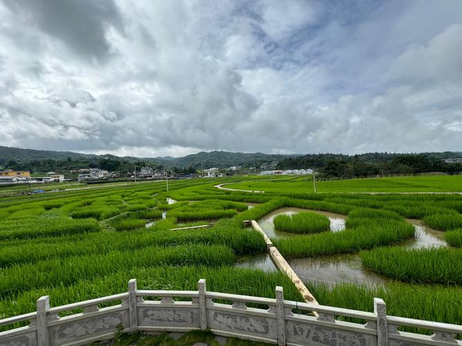 上海花皇空气能,科技赋能生活,绿色未来已来_上海花皇空气能 厨房维修 上海花皇空气能,科技赋能生活,绿色未来已来_上海花皇空气能 上海花皇空气能,科技赋能生活,绿色未来已来_上海花皇空气能 厨房维修