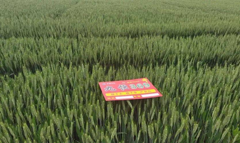 九恒空气能烘干,绿色节能的新宠儿,引领烘干技术新潮流_九恒空气能烘干 汽车维修 九恒空气能烘干,绿色节能的新宠儿,引领烘干技术新潮流_九恒空气能烘干 九恒空气能烘干,绿色节能的新宠儿,引领烘干技术新潮流_九恒空气能烘干 汽车维修