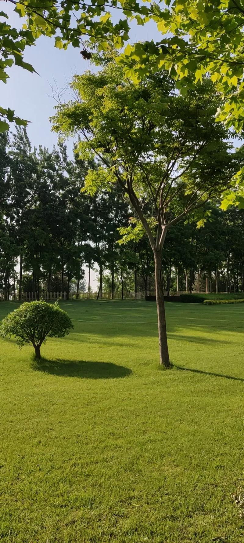 北大街,绿色呼吸的都市绿洲_北大街空气能 汽车维修 北大街,绿色呼吸的都市绿洲_北大街空气能 北大街,绿色呼吸的都市绿洲_北大街空气能 汽车维修