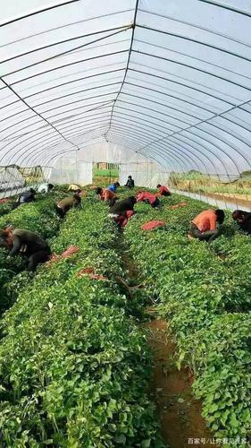 南召空气能热泵,绿色节能的新宠,引领我国暖通行业新潮流_南召空气能热泵厂家 家电维修 南召空气能热泵,绿色节能的新宠,引领我国暖通行业新潮流_南召空气能热泵厂家 南召空气能热泵,绿色节能的新宠,引领我国暖通行业新潮流_南召空气能热泵厂家 家电维修