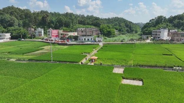 和平县,绿色呼吸下的生态宜居之地_和平县空气能 墙体维修 和平县,绿色呼吸下的生态宜居之地_和平县空气能 和平县,绿色呼吸下的生态宜居之地_和平县空气能 墙体维修